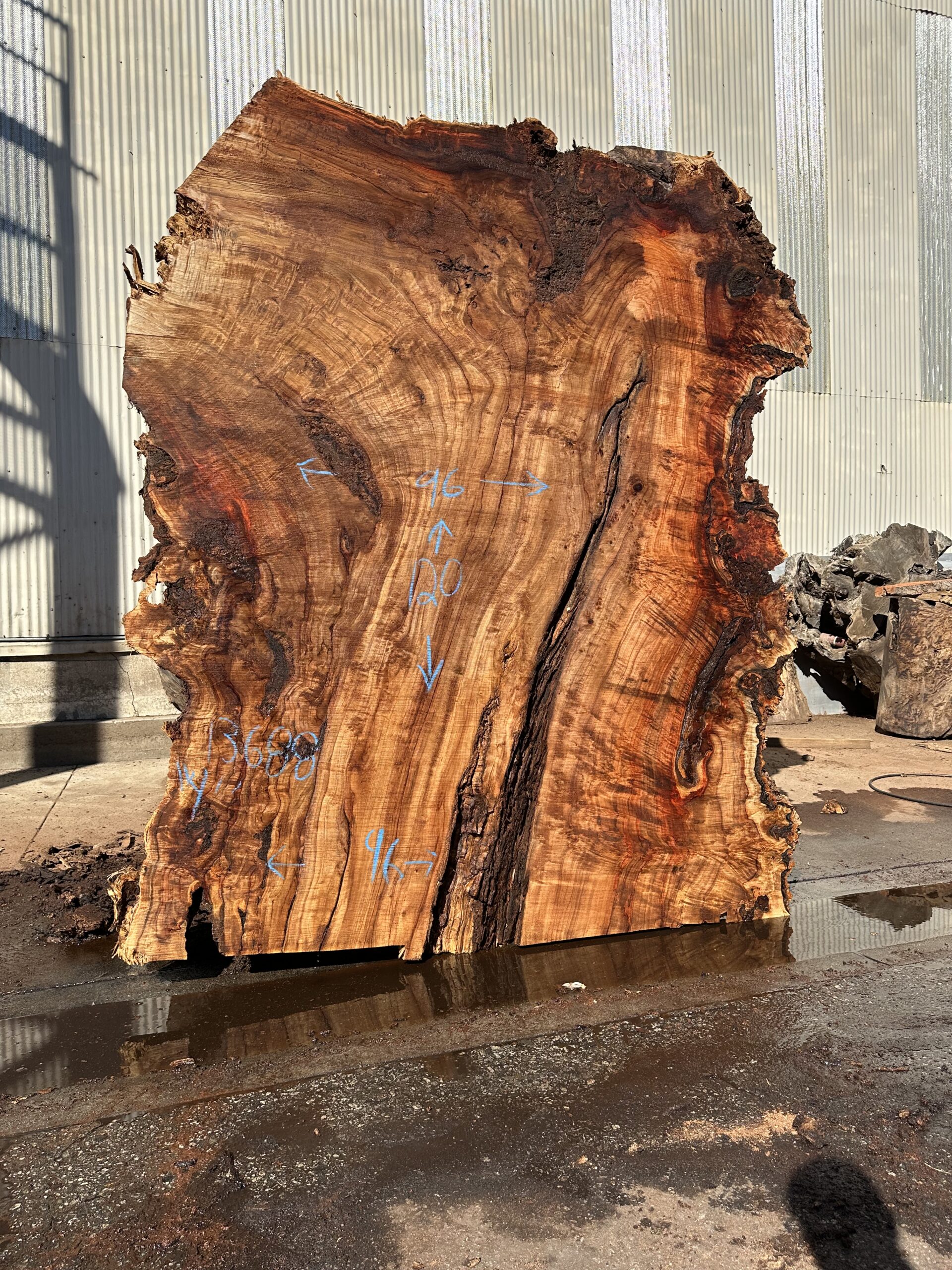 Rethinking The Cottonwood Slab: An Underappreciated Wood Species - GL Veneer